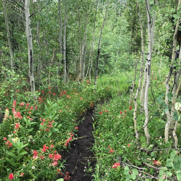 Meet your Posher, Esther - Picture 1 of 1